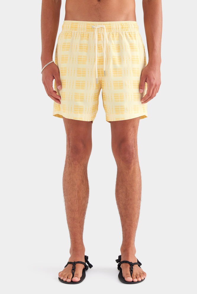 Printed Swim Short - Powder Blue/Chestnut V Monogram