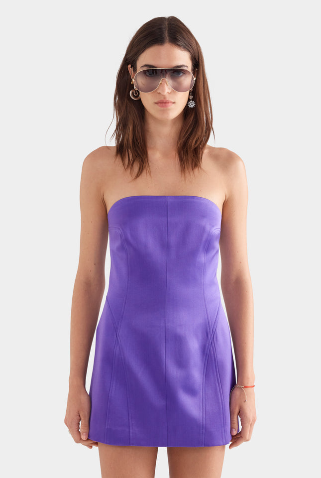 Strapless Panelled Silk Cotton Mini Dress - Violet